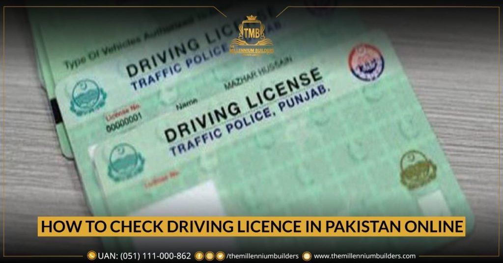 Check Driving Licence